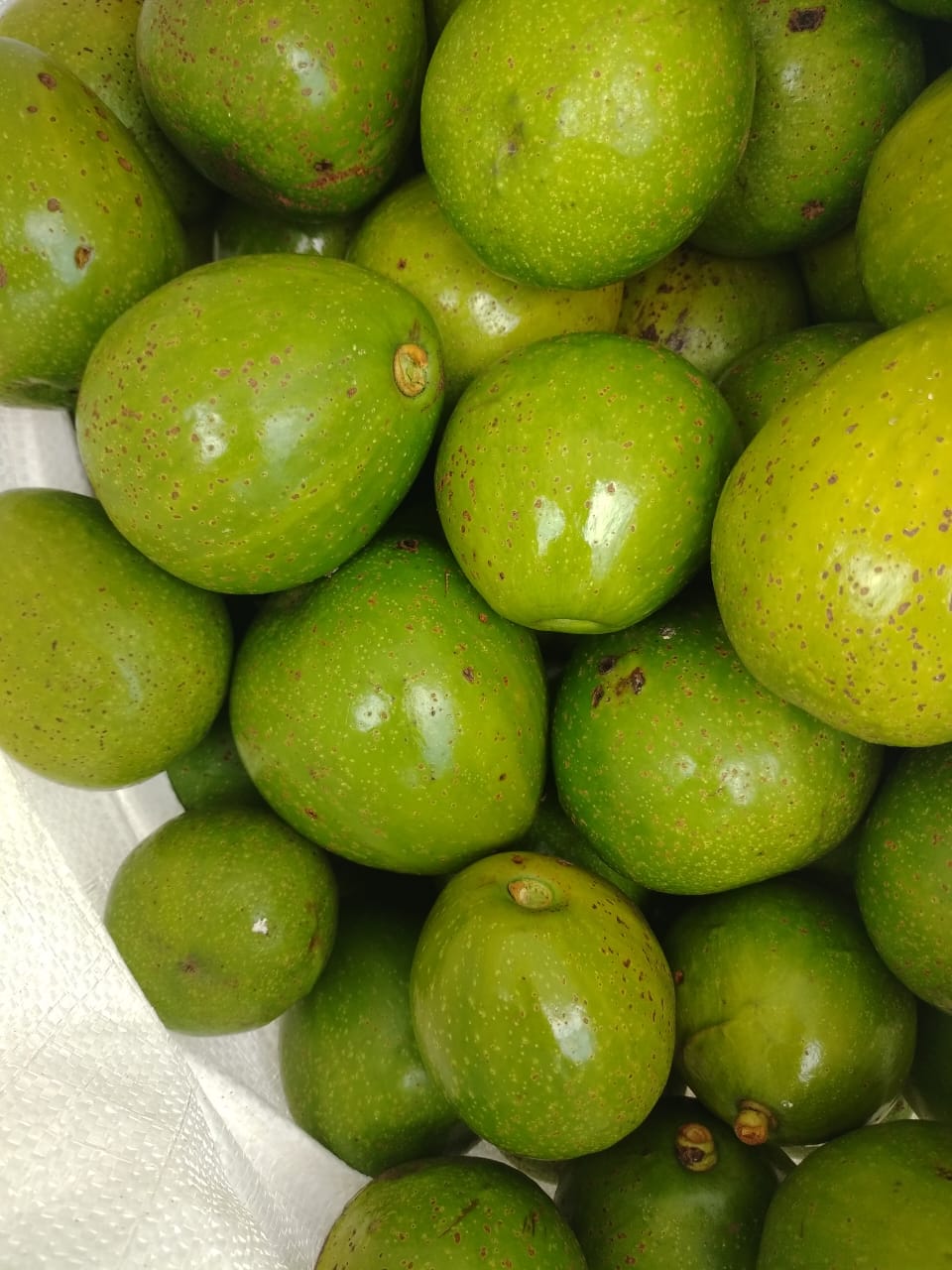 Avocado batch on tray